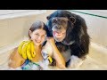 Bubble bath with vali the chimp 