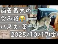 【株式投資と今週のハス夫(ハス夫)】過去最大の含み損😭/ハス夫･フィラリア薬