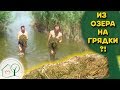 Водоросли 🌿🌿🌿 - мульча из озера на грядки 📥📥📥/ Денис Оскаленко / Клуб "Цветущий сад"