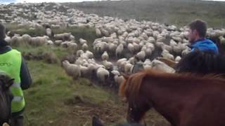 Göngur og réttir í Vesturfjöllum