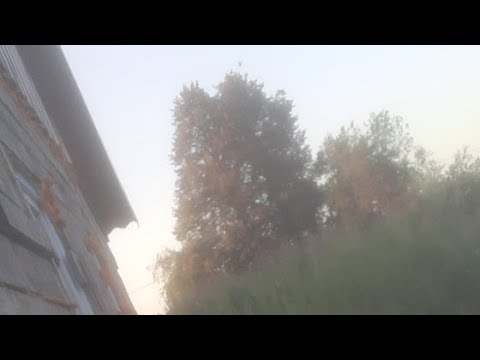 Новое видео на дзене - YouTube