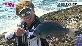 ヤマツリTV!!くまもとを釣る!! vol69 【グレ釣り道場「魚貫埼」釣行