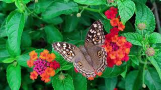 Open the Eyes of Your Heart to God