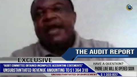 Interim Government  Audit Report