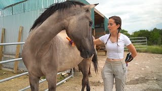 Maya gives Acero and the donkey's enrichment at Alveus