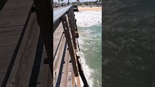 Seal Beach Pier Was SHAKING From MASSIVE Southern Swells!