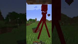 Minecraft Enderman Farm Simple