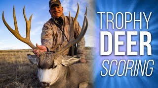 How to Score and Measure a Mule Deer - Deer Hunting