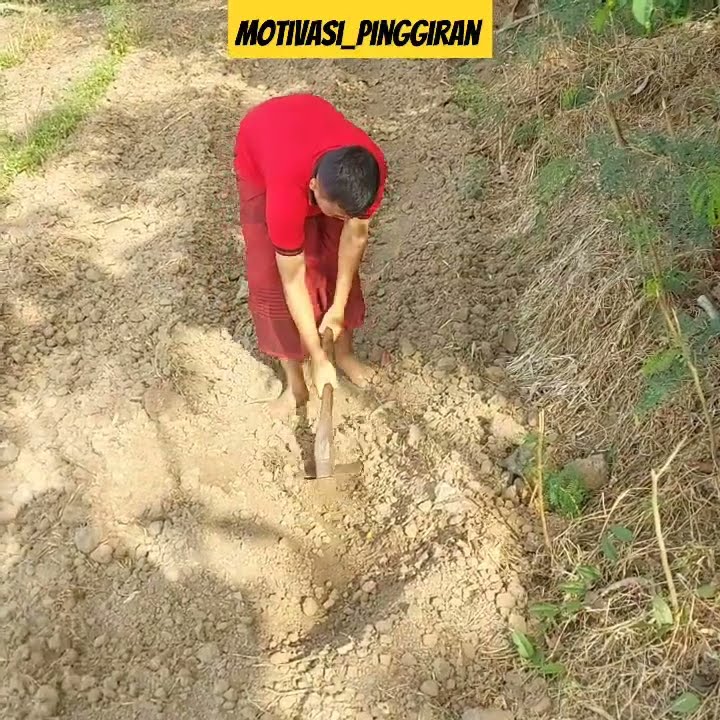 Jadi petani yang bersyukur #petani #motivation #kerja #keluarga #nafkah #inspiration #shorts