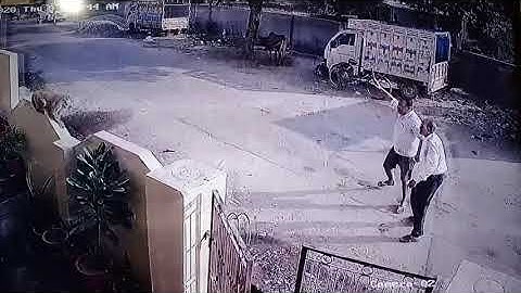 Monkey Attacks on Two People#Man Vs Wild#Youtube#Shorts