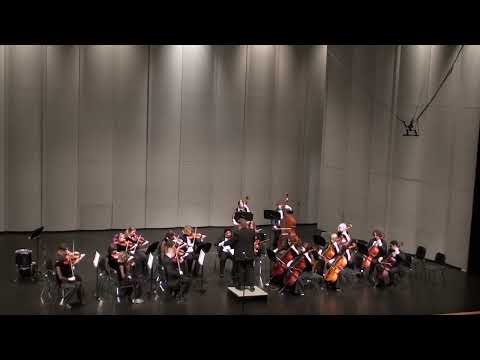 GHS Chamber Orchestra - Dance of the Tumblers
