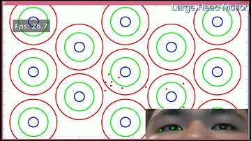 Real time eye gaze tracking with a single web camera (short version)