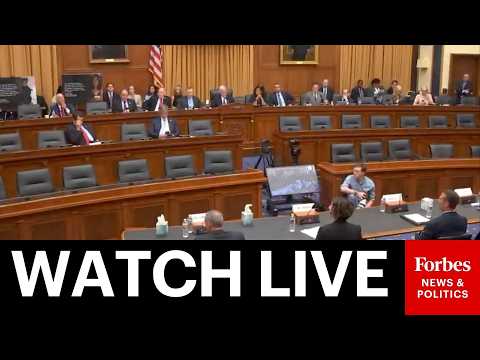 LIVE: Families Of People Killed By Illegal Immigrants Testify Before Congress
