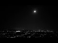 Ruppina「Free Will」