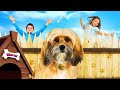 2026 Benji (a homeless dog) Review_Plot in Hindi _ Urdu new movie