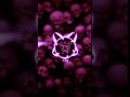 𝗠𝗔𝗦𝗛𝗔 𝗨𝗟𝗧𝗥𝗔𝗙𝗨𝗡𝗞 𝗦𝗣𝗘𝗘𝗗 𝗨𝗣 Funk Fonk Mashaultrafunk Avee Player Ringtone Aveeplayerlegend 