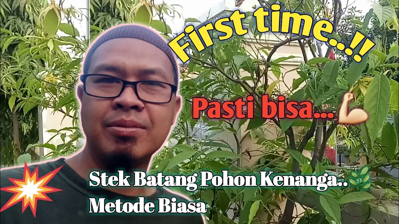 Stek Bunga Kenanga//Tanpa Sungkup//@hobbynandur chanel