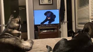 Sady and frosty watchin tv