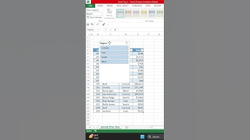 Filter Data With Slicer Button!!! #excel #shorts