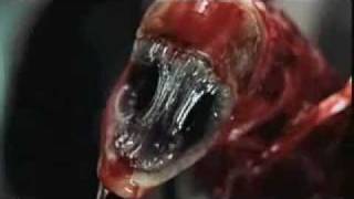 Alien Resurrection tv spot: Scream