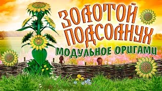 Подсолнух Оригами. Модульное Оригами Подсолнухи. Подсолнух Оригами Схема