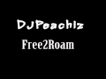 Dj peachiz free2roam