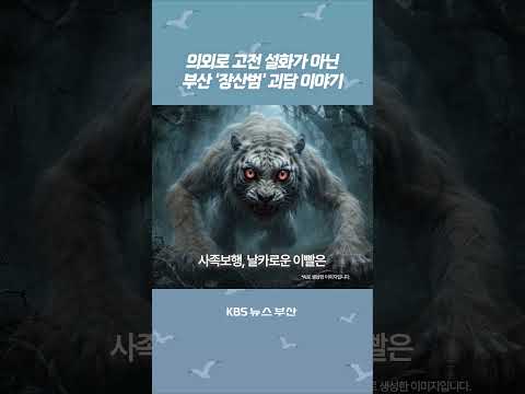 <strong>해운대</strong> 장산에서 사람들을 유인하는 귀신? <strong>부산</strong> '장산범' 이야기 #괴담