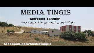 مغوغة الديموس شريعة عين دالية  طريق العوامة طنجة 11 08 2021  Morocco tangier