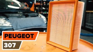 Manual de serviço PEUGEOT