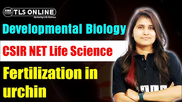 Unit-5 Developmental Biology I Fertilization in urchin I CSIR NET Life Sciences | Shruti Shukla |