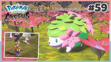 How To Catch Shaymin & Change Its Form Using Gracidea In Pokemon Legends Arceus #59 *No Commentary*