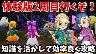 DQM4】知識を活かして体験版2週目！皆も一緒にプレイしよう