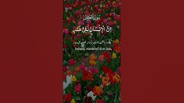 سوره العصر #روائع_التلاوة #قران_كريم #راحة_نفسية#قران