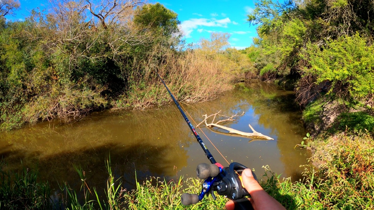 Este lugar es una locura, UN PIQUE TRAS OTRO, PESCA Y COCINA, carne asada, pesca de barrio
