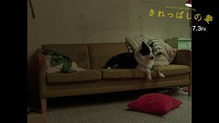 本編映像【愛犬パンダ】