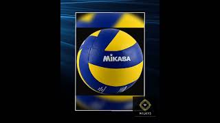 Volleyball – Indoor &amp; Outdoor Training &amp; Recreational Ball