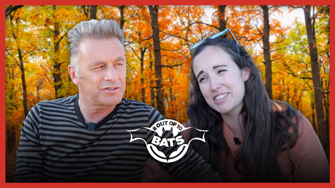 Introducing 8 Out Of 10 Bats | Starts October 23rd @ 7.30pm 🦇🍂 - YouTube
