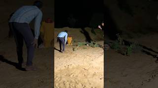 Download Lagu Jai Ma Kali 😱 #mahadev #mahakal #jaimatadi #nawratri #shortsfeed #ytshorts #tiktok #keşfet #123 MP3