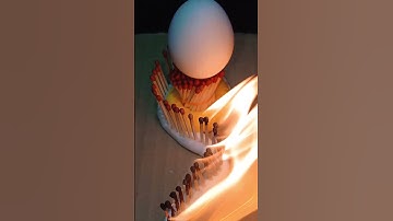 Egg vs matchsticks experiment idea  #experiment #satisfying #match #matchstick