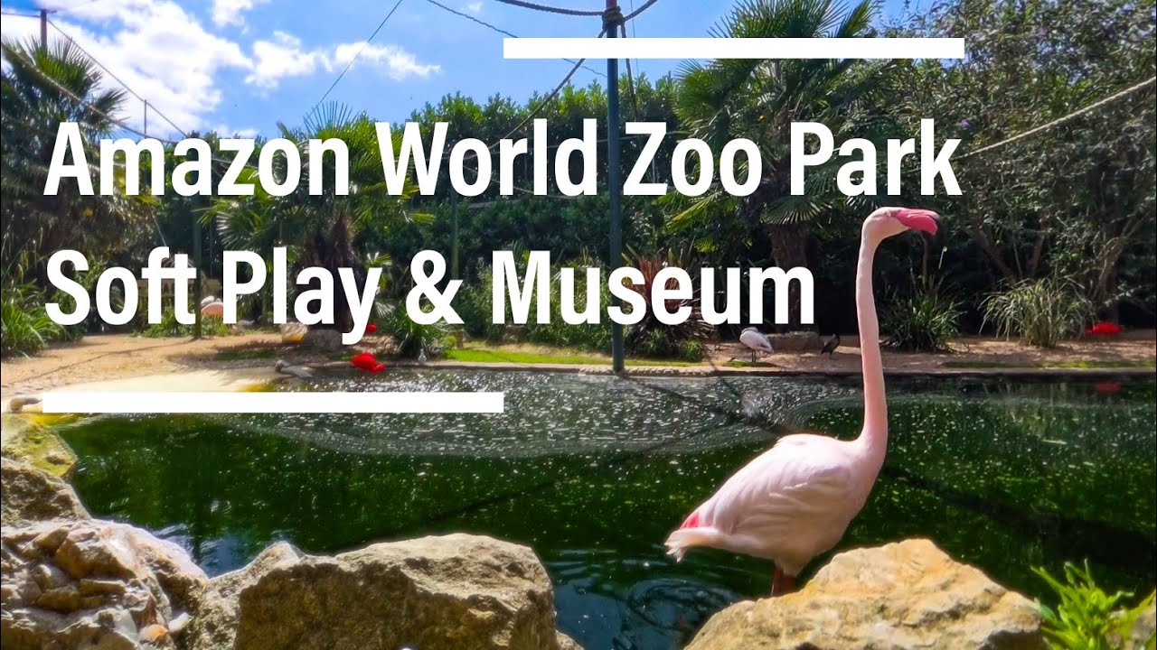 Amazon World Zoo Park - Isle Of Wight