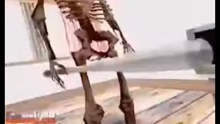 Skeleton hits Spanish woman with bat Resimi