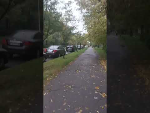 Золотава осінь