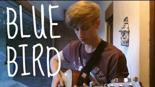 Video thumbnail of "Tyler Nugent - Blue Bird (Original Song)"