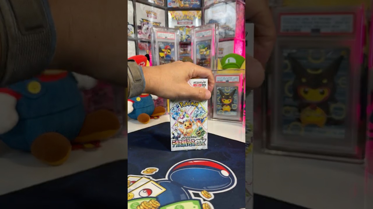 Should I Open it? Or Should I Keep it Sealed? - Terastal Festival - IT HAPPENED! #pokemontcg
