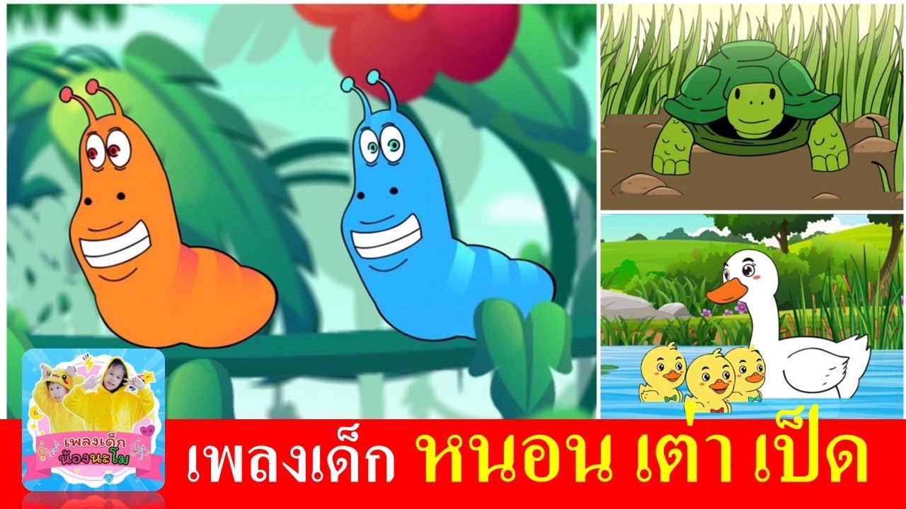 เพลงเด็กอนุบาล สัตว์ 3 ชนิด | หนอน เต่า เป็ด | หนอนต้วมเตี้ยม | เต่าเอ๋ยเต่า | เป็ดอาบน้ำในคลอง