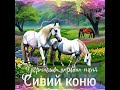 ROZAVIN Сивий коню Українська народна пісня Official Audio Прем єра пісні