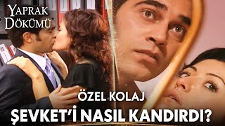 Ferhunde, Şevketi Elde Etmeyi Başardı - Yaprak Dökümü Özel Kolaj