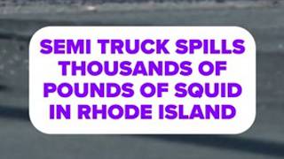 Semi truck spills thousands of pounds of squid in Rhode Island