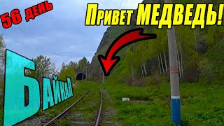 видео: №56. Встреча с медведем на КБЖД. Пешком и на велосипеде по КБЖД из Листвянки. Байкал. Еду в Магадан. картинка: №56. Встреча с медведем на КБЖД. Пешком и на велосипеде по КБЖД из Листвянки. Байкал. Еду в Магадан.