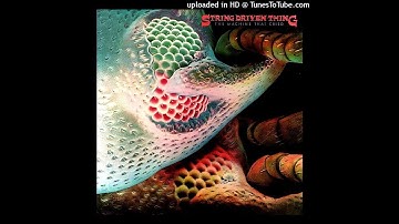 STRING DRIVEN THING-The Machine That Cried-09-The Machine That Cried-{1973}